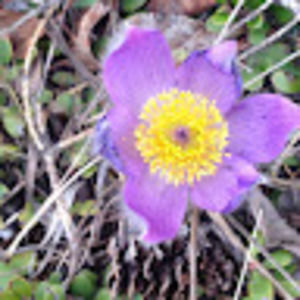 Meet your Posher, Terry